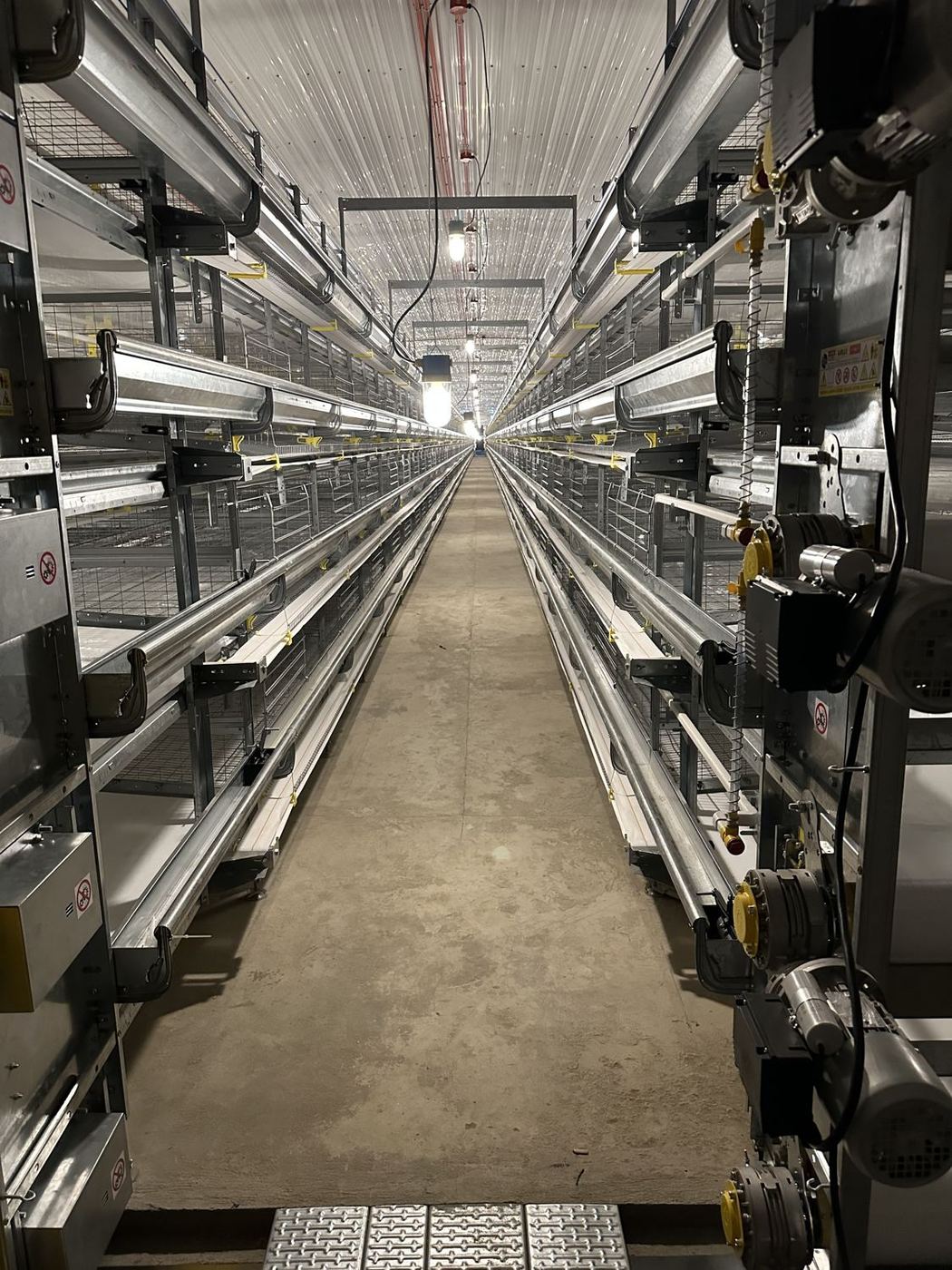VALLI Modulo 135 cage layer system
